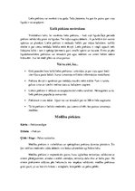 Konspekts 'Piekūni', 18.