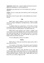 Konspekts 'Piekūni', 20.