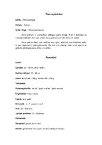 Konspekts 'Piekūni', 22.