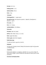 Konspekts 'Piekūni', 26.