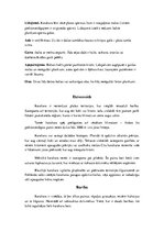 Konspekts 'Piekūni', 27.