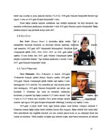 Referāts 'Šķēpa mešana Latvijā un pasaulē', 18.