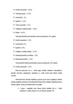 Referāts 'Latvijas Republikas budžeta raksturojums', 15.