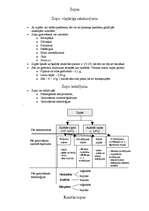 Konspekts 'Zupas', 1.