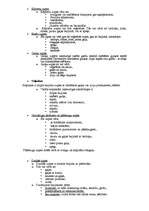 Konspekts 'Zupas', 4.