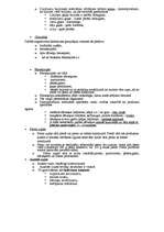 Konspekts 'Zupas', 5.