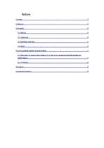 Referāts 'Latvijas Datortehnoloģiju asociācija', 2.