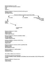 Konspekts 'Lietvedība', 3.