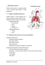 Konspekts 'Elpošana', 1.
