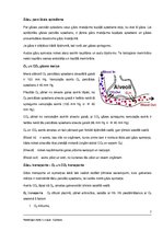 Konspekts 'Elpošana', 7.