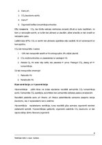 Konspekts 'Elpošana', 8.