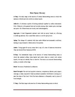 Referāts 'Epoksīda pārklājumi grīdām', 24.