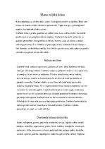 Konspekts 'Mana mīļākā krāsa', 1.