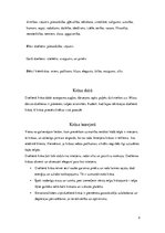 Konspekts 'Mana mīļākā krāsa', 2.