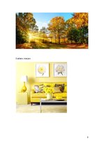 Konspekts 'Mana mīļākā krāsa', 5.