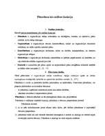 Konspekts 'Plānošana kā vadības funkcija', 1.