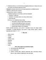 Konspekts 'Plānošana kā vadības funkcija', 2.