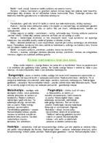 Referāts 'Krāsas', 5.