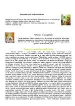 Referāts 'Krāsas', 18.