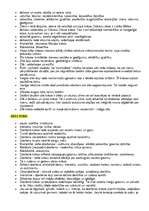 Referāts 'Krāsas', 26.