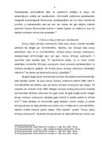 Referāts 'Pašu kapitāls, tā veidi un uzskaite', 6.