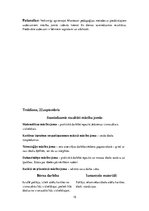 Prakses atskaite 'Pirmsskolas skolotāja kvalifikācijas prakse un kvalifikācijas eksāmens', 15.