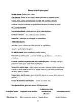 Prakses atskaite 'Pirmsskolas skolotāja kvalifikācijas prakse un kvalifikācijas eksāmens', 21.