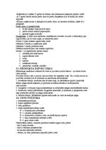 Konspekts 'Mārketinga konspekts', 6.