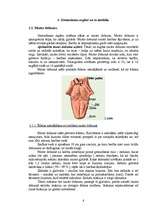 Referāts 'Gremošanas orgānu sistēma', 6.