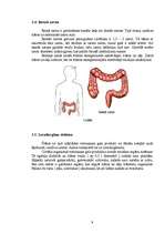 Referāts 'Gremošanas orgānu sistēma', 9.