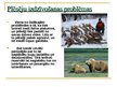Prezentācija 'Plēsēju nozīme Latvijas dabā', 12.