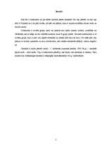 Referāts 'Skinhedi kā subkultūra', 3.