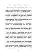 Eseja 'Identitātes politika un nacionālisms Baltijas valstīs', 2.