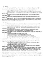 Konspekts 'Rainis “Jāzeps un viņa brāļi” konspekts + pamatojumi ar citātiem', 3.