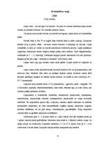 Referāts 'Ārstniecības augi un to izmantošana', 18.