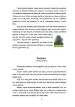 Referāts 'Ārstniecības augi un to izmantošana', 19.