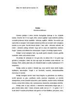 Referāts 'Ārstniecības augi un to izmantošana', 20.