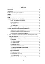 Diplomdarbs 'Zemes tirgus Jegavas rajona Cenu pagastā ', 19.