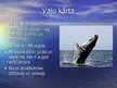 Prezentācija 'Vaļu kārta', 2.