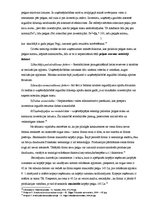 Konspekts 'Konkurence un tirgus struktūra. Firmas rīcība pilnīgas un nepilnīgas konkurences', 6.