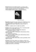 Konspekts 'Parazitoloģija', 10.