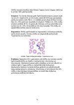 Konspekts 'Parazitoloģija', 13.