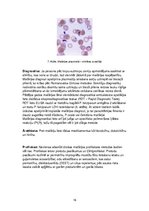 Konspekts 'Parazitoloģija', 16.