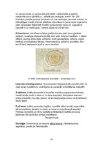 Konspekts 'Parazitoloģija', 30.