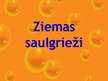 Prezentācija 'Ziemas saulgrieži', 1.