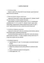 Biznesa plāns 'Investīciju plāns - rindu māju celtniecība', 3.