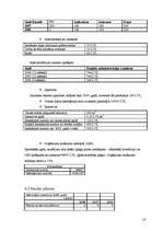 Biznesa plāns 'Investīciju plāns - rindu māju celtniecība', 14.