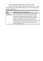 Referāts 'Kultūras vēsture kā integratīvs priekšmets Jēkabpils 2.vidusskolā', 10.