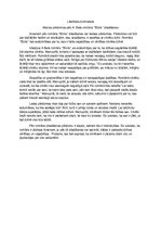 Konspekts 'Alberta Bela romāns "Būris"', 1.