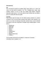 Referāts 'Vīna kultūras ietekme tūrismā', 13.